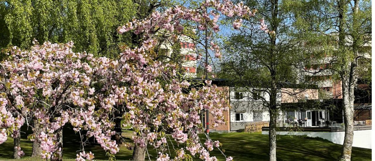 Emma Gjestehus Sandvika  Exterior photo